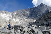 49 Vedtretta del Venerocolo sul versante nord dell'Adamello 